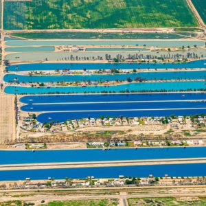 Blue & Green Water Ski Lakes in the California Desert